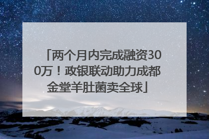 两个月内完成融资300万！政银联动助力成都金堂羊肚菌卖全球