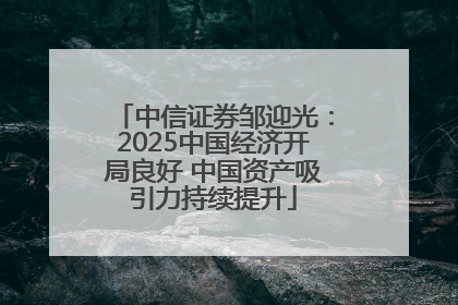 中信证券邹迎光：2025中国经济开局良好 中国资产吸引力持续提升