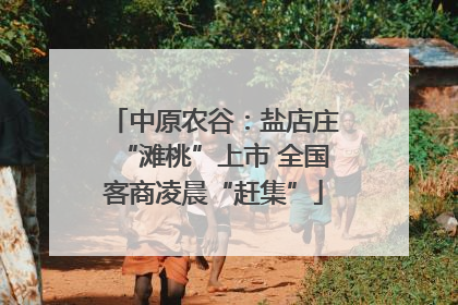 中原农谷：盐店庄“滩桃”上市 全国客商凌晨“赶集”