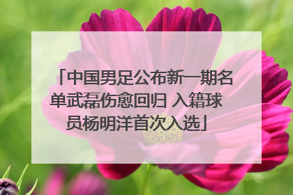 中国男足公布新一期名单武磊伤愈回归 入籍球员杨明洋首次入选