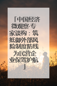 中国经济微观察·专家谈构：筑抵御外部风险制度防线 为民营企业保驾护航