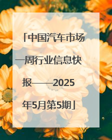 中国汽车市场一周行业信息快报——2025年5月第5期