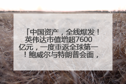中国资产，全线爆发！英伟达市值增超7600亿元，一度重返全球第一！鲍威尔与特朗普会面，他们聊了什么？