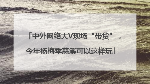 中外网络大V现场“带货”，今年杨梅季慈溪可以这样玩
