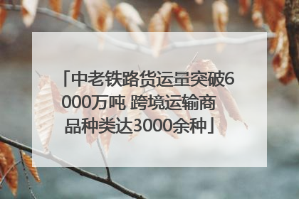 中老铁路货运量突破6000万吨 跨境运输商品种类达3000余种