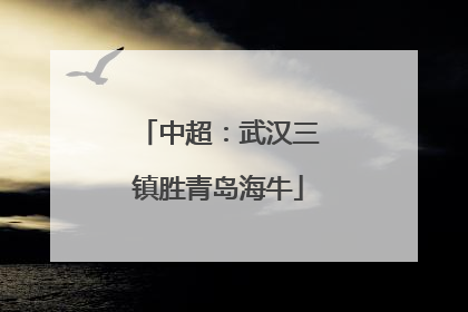 中超：武汉三镇胜青岛海牛