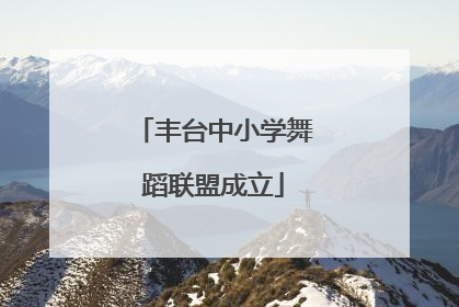 丰台中小学舞蹈联盟成立