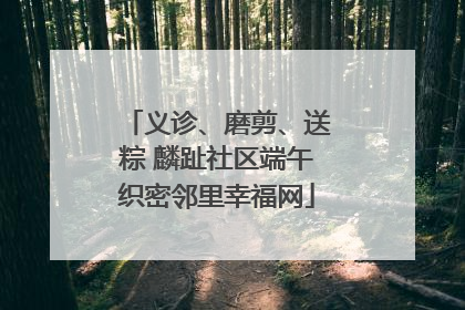 义诊、磨剪、送粽 麟趾社区端午织密邻里幸福网