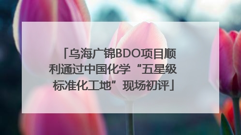 乌海广锦BDO项目顺利通过中国化学“五星级标准化工地”现场初评