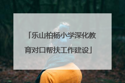 乐山柏杨小学深化教育对口帮扶工作建设