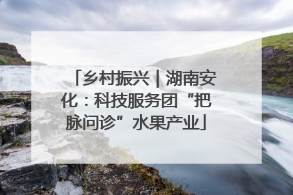 乡村振兴｜湖南安化：科技服务团“把脉问诊”水果产业