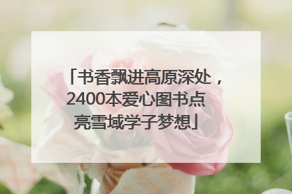 书香飘进高原深处，2400本爱心图书点亮雪域学子梦想
