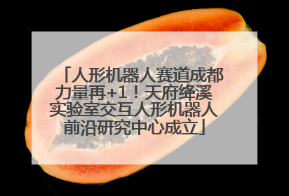 人形机器人赛道成都力量再+1！天府绛溪实验室交互人形机器人前沿研究中心成立