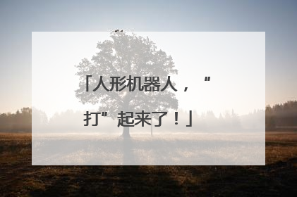 人形机器人，“打”起来了！