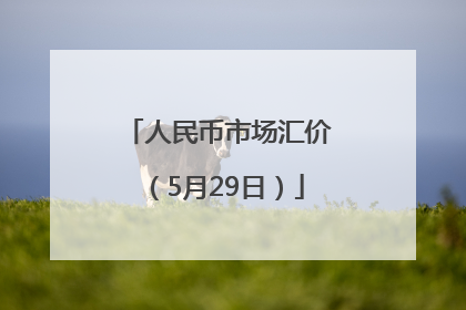 人民币市场汇价（5月29日）