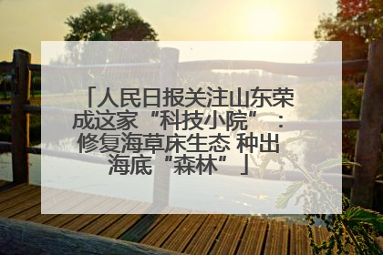 人民日报关注山东荣成这家“科技小院”：修复海草床生态 种出海底“森林”