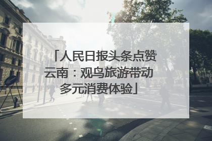 人民日报头条点赞云南：观鸟旅游带动多元消费体验