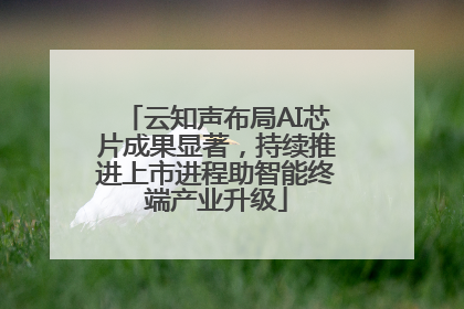 云知声布局AI芯片成果显著，持续推进上市进程助智能终端产业升级