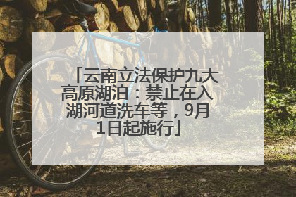 云南立法保护九大高原湖泊：禁止在入湖河道洗车等，9月1日起施行