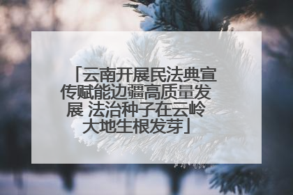 云南开展民法典宣传赋能边疆高质量发展 法治种子在云岭大地生根发芽