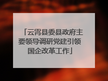 云霄县委县政府主要领导调研党建引领国企改革工作