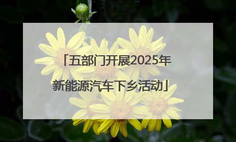 五部门开展2025年新能源汽车下乡活动