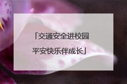 交通安全进校园 平安快乐伴成长