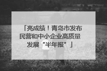 亮成绩！青岛市发布民营和中小企业高质量发展“半年报”