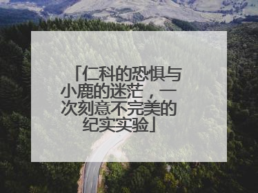 仁科的恐惧与小鹿的迷茫，一次刻意不完美的纪实实验