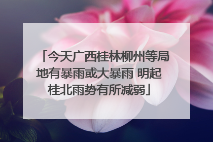 今天广西桂林柳州等局地有暴雨或大暴雨 明起桂北雨势有所减弱