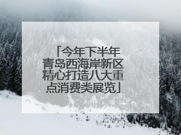 今年下半年 青岛西海岸新区精心打造八大重点消费类展览