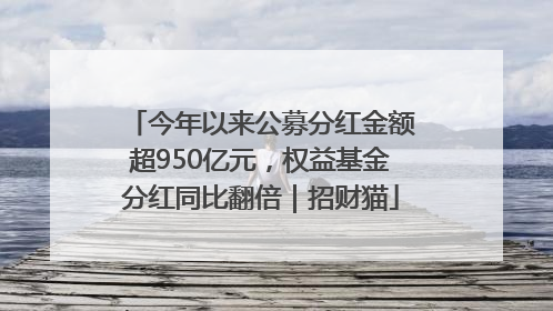 今年以来公募分红金额超950亿元，权益基金分红同比翻倍｜招财猫