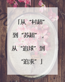 从“村超”到“苏超”，从“追球”到“追求”