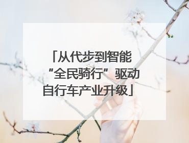 从代步到智能 “全民骑行”驱动自行车产业升级