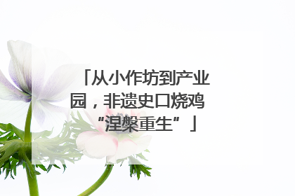 从小作坊到产业园，非遗史口烧鸡“涅槃重生”
