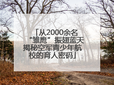 从2000余名“雏鹰”振翅蓝天揭秘空军青少年航校的育人密码