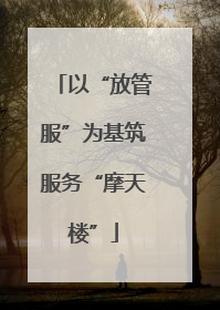 以“放管服”为基筑服务“摩天楼”