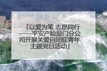 以爱为笔 志愿同行——平安产险厦门分公司开展关爱自闭症青年主题党日活动