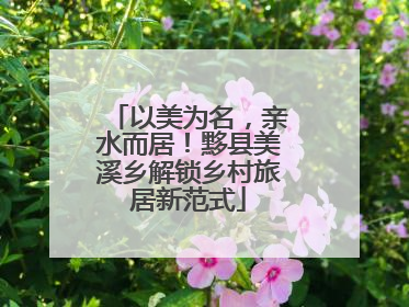 以美为名，亲水而居！黟县美溪乡解锁乡村旅居新范式