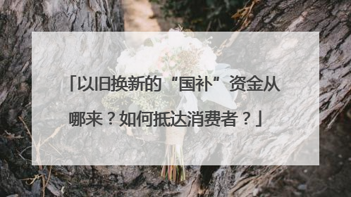 以旧换新的“国补”资金从哪来？如何抵达消费者？