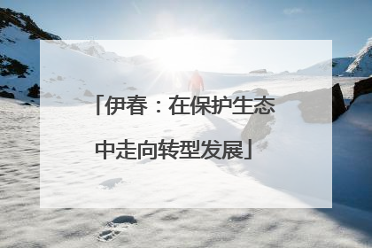 伊春：在保护生态中走向转型发展