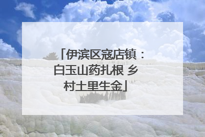 伊滨区寇店镇：白玉山药扎根 乡村土里生金
