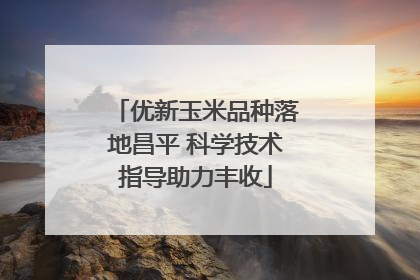 优新玉米品种落地昌平 科学技术指导助力丰收