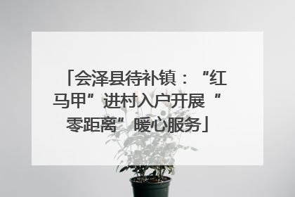 会泽县待补镇：“红马甲”进村入户开展“零距离”暖心服务