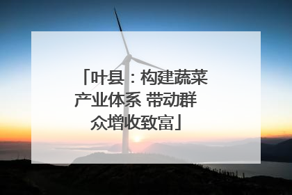 叶县：构建蔬菜产业体系 带动群众增收致富