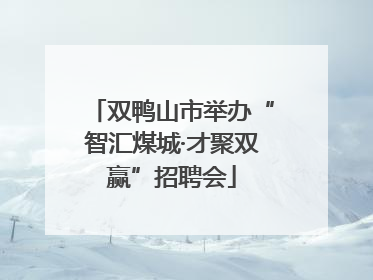 双鸭山市举办“智汇煤城·才聚双赢”招聘会
