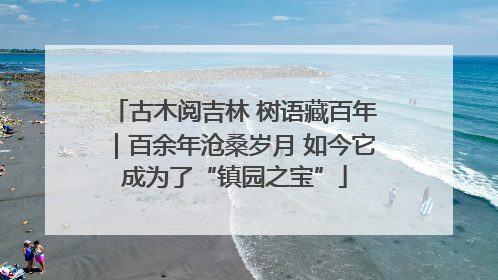 古木阅吉林 树语藏百年｜百余年沧桑岁月 如今它成为了“镇园之宝”