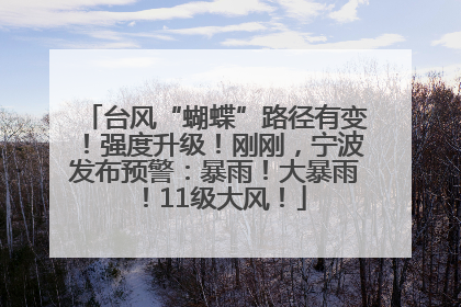 台风“蝴蝶”路径有变！强度升级！刚刚，宁波发布预警：暴雨！大暴雨！11级大风！
