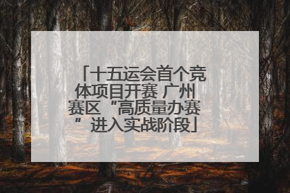十五运会首个竞体项目开赛 广州赛区“高质量办赛”进入实战阶段