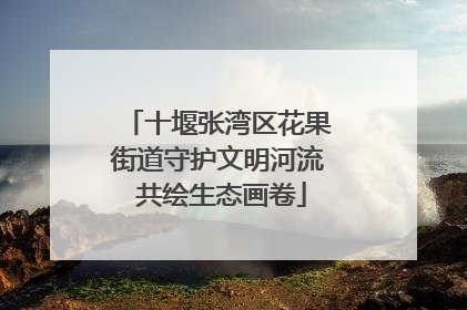 十堰张湾区花果街道守护文明河流 共绘生态画卷